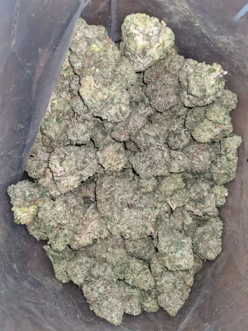 Tony’s Pink Kush - Image 5