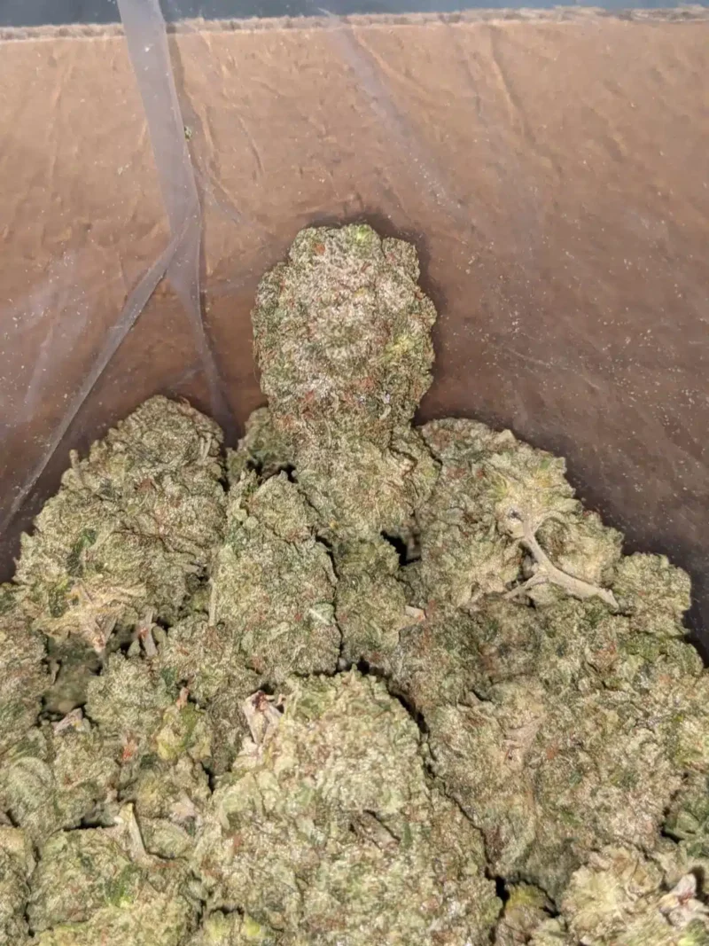 Tony’s Pink Kush - Image 7