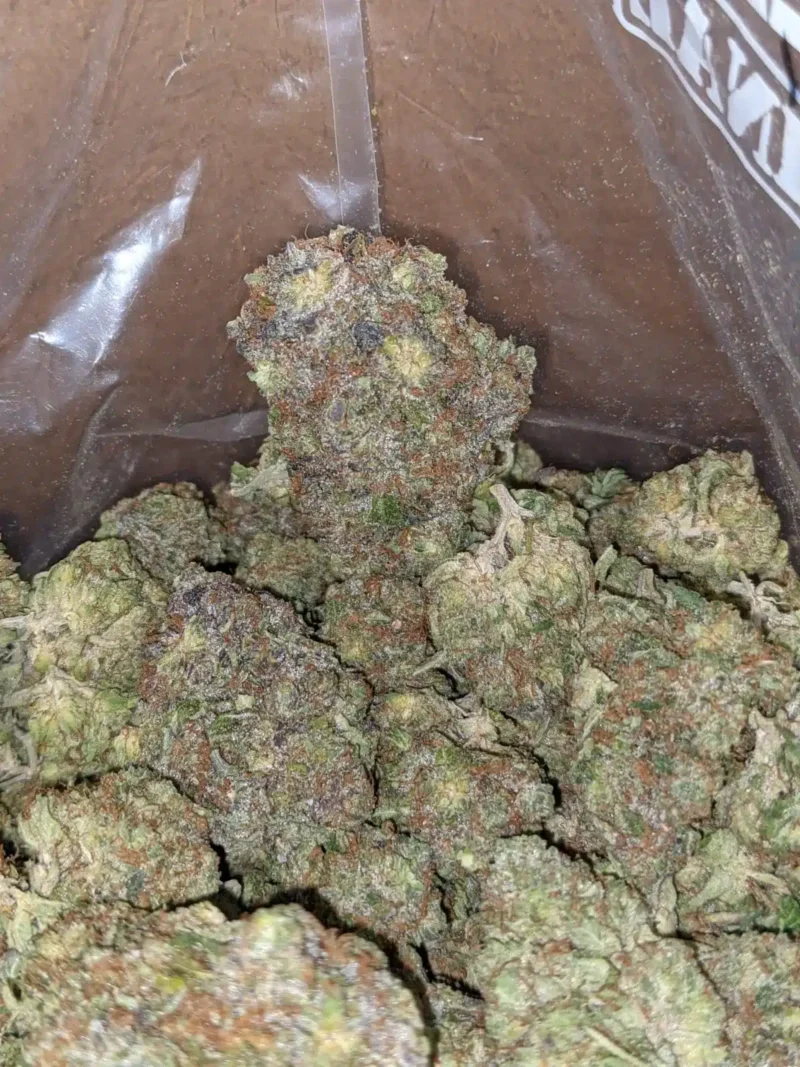 Tony’s Rockstar - Image 5