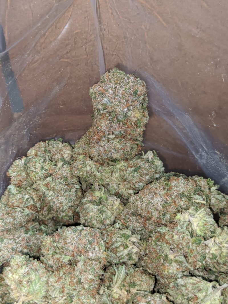 Tony’s Rockstar Kush - Image 6