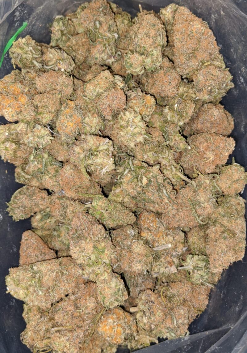 Tropical Gelato - Image 6