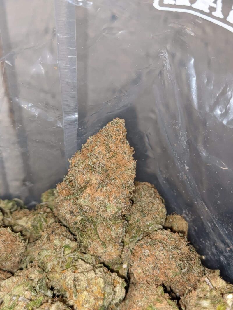 Tropical Gelato - Image 5