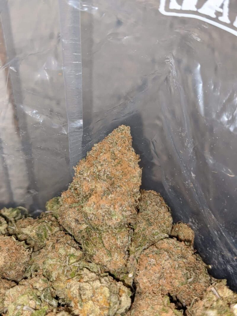 Tropical Gelato - Image 4
