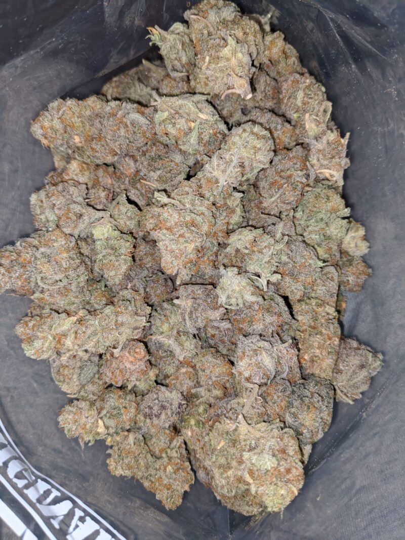 Tropical Hawaiian - Image 4