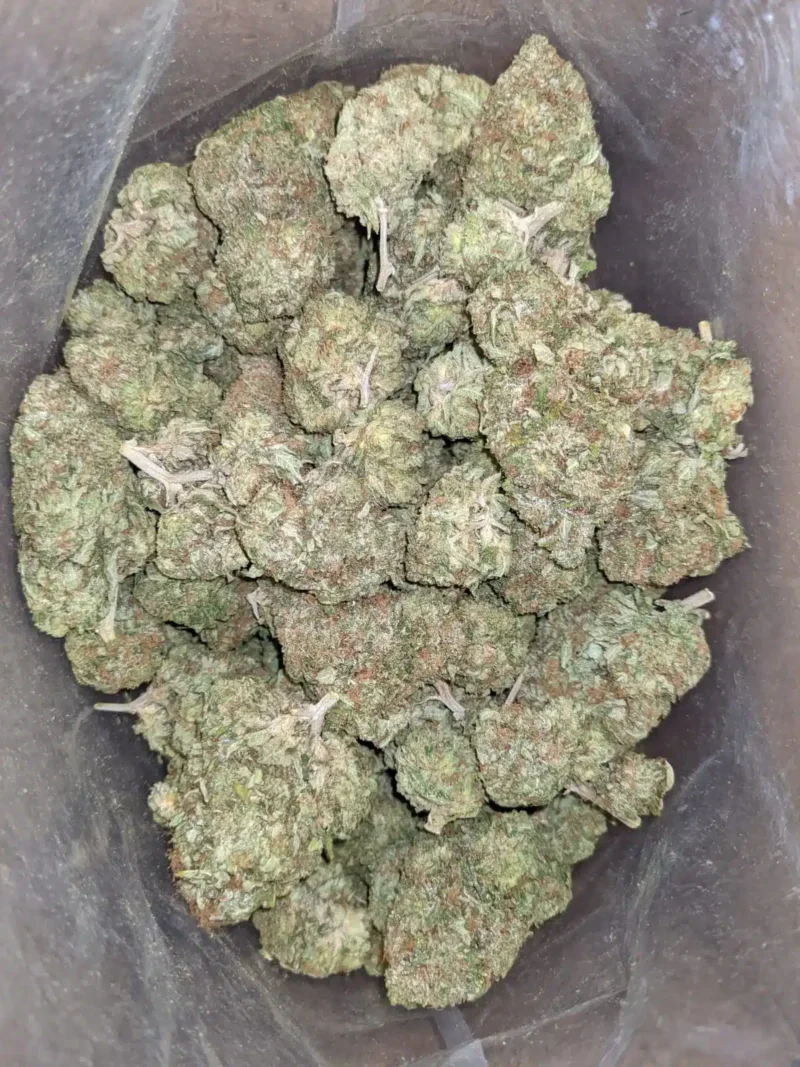Tony’s Tuna Kush - Image 5
