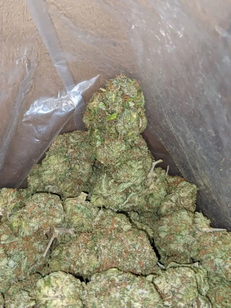 Tony’s Tuna Kush - Image 6