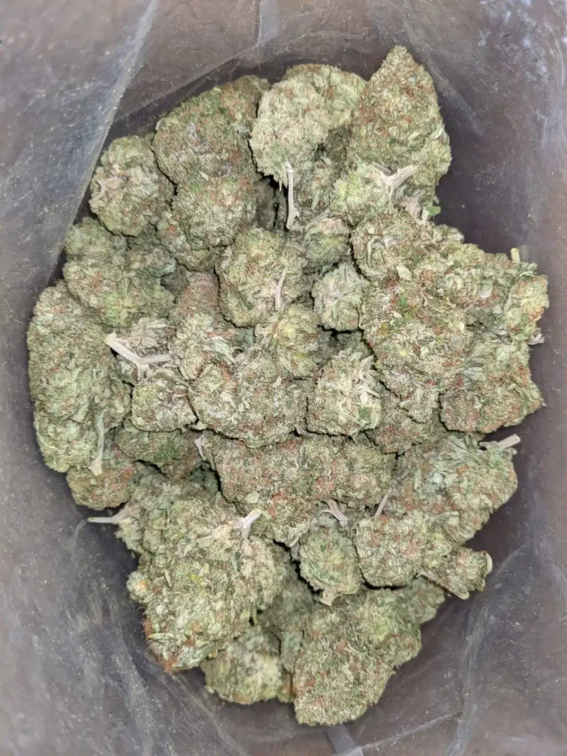 Tony’s Tuna Kush - Image 4