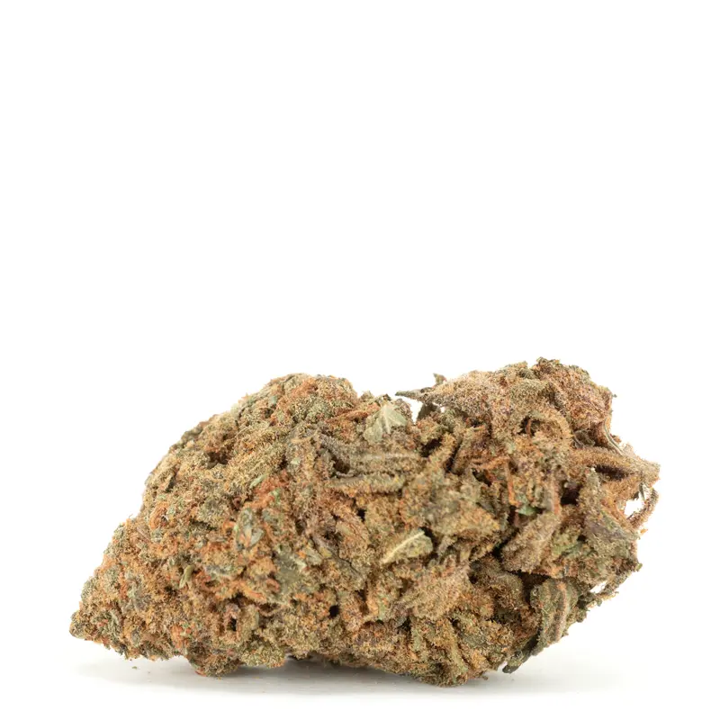 Twisted Citrus