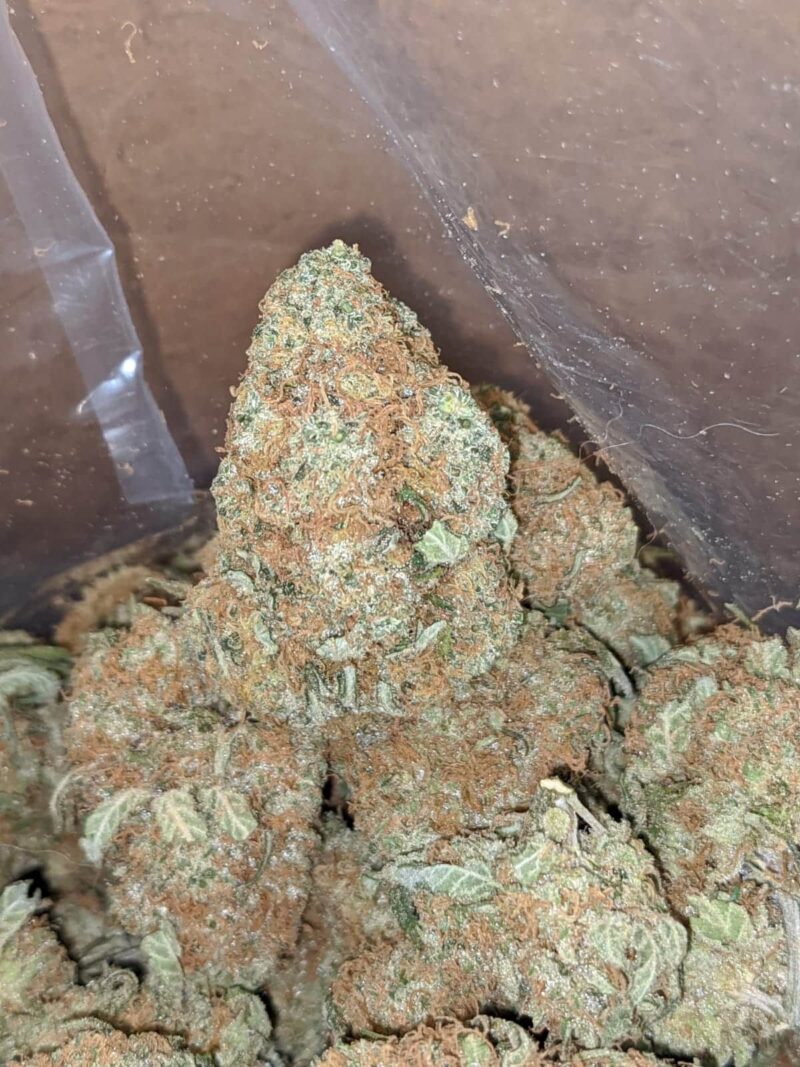 UK Cheese - Image 7