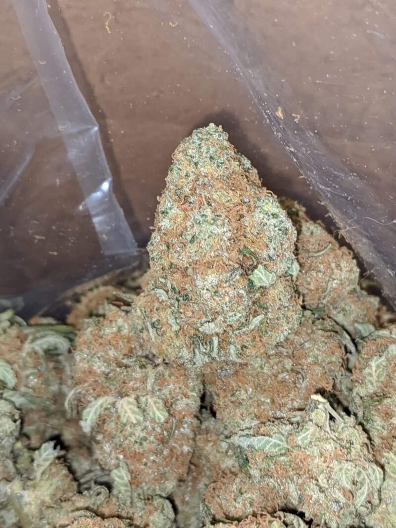 UK Cheese - Image 5