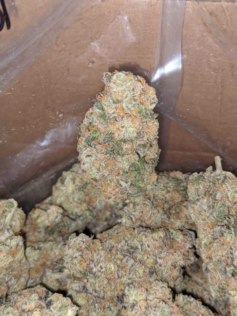 Unicorn Poop - Image 5