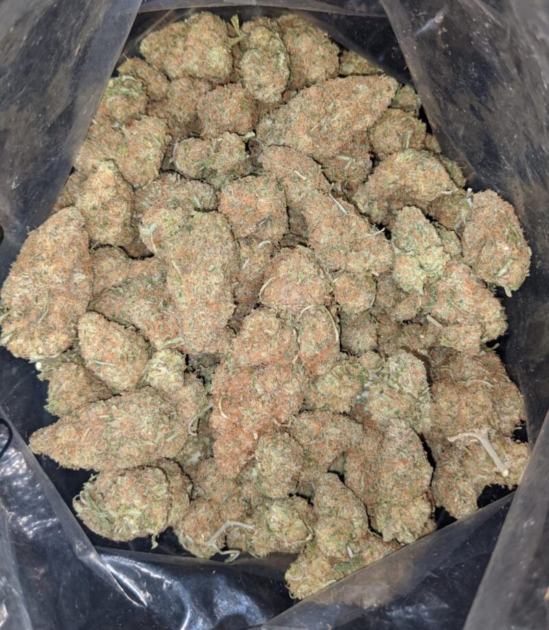 Very Berry Gelato - Image 4