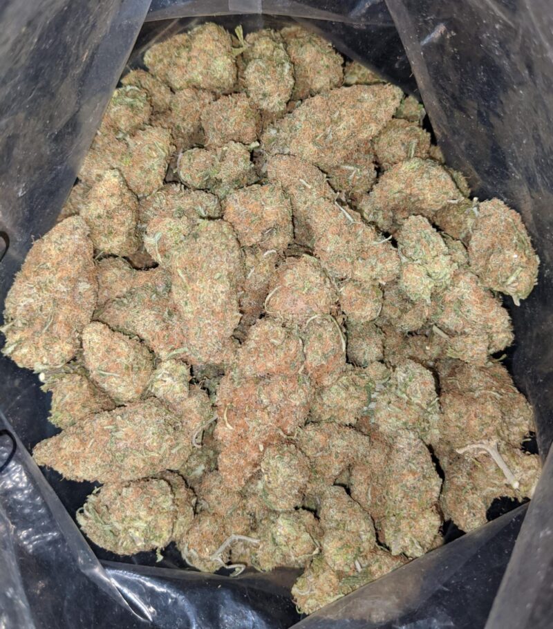 Very Berry Gelato - Image 7