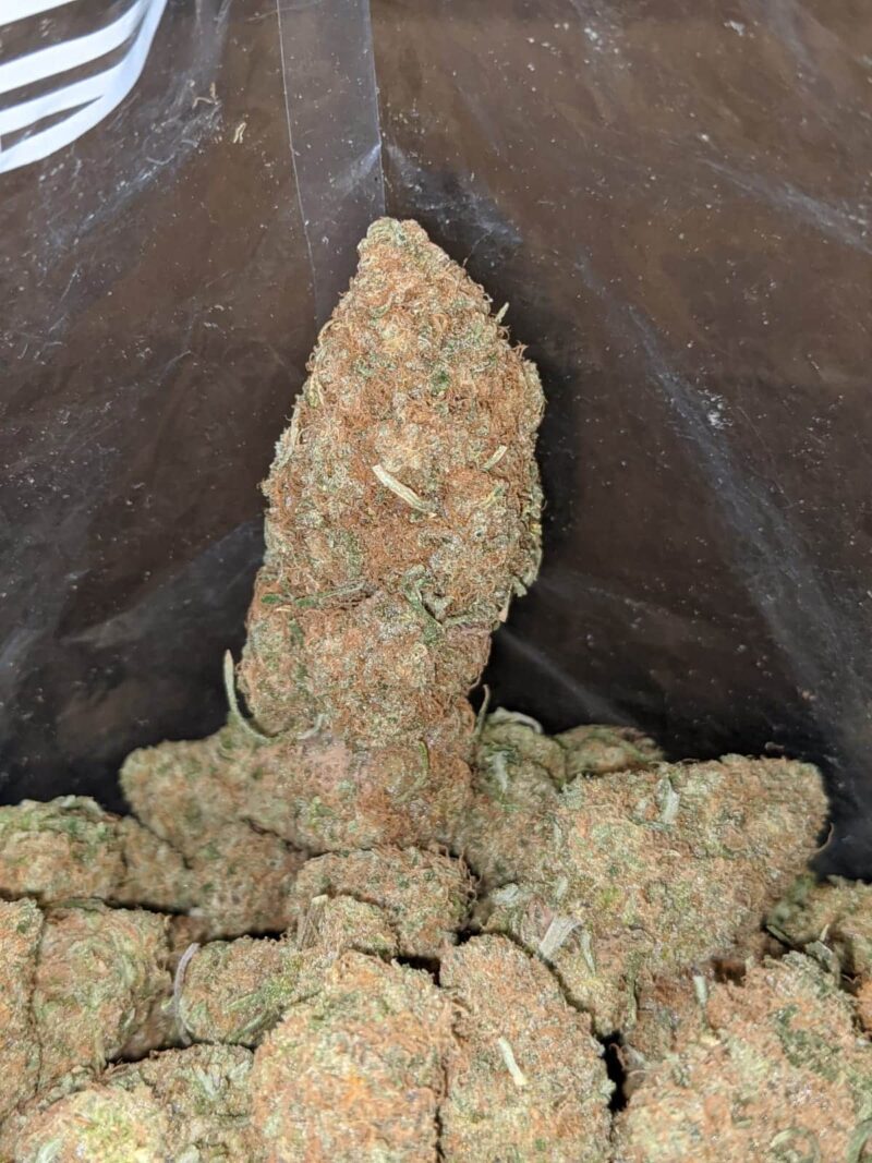Very Berry Gelato - Image 6