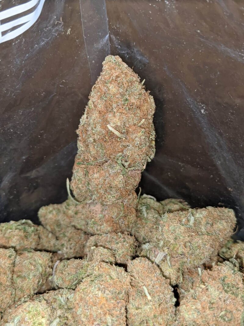 Very Berry Gelato - Image 5