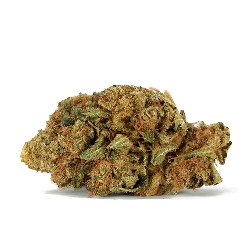 Violator Kush