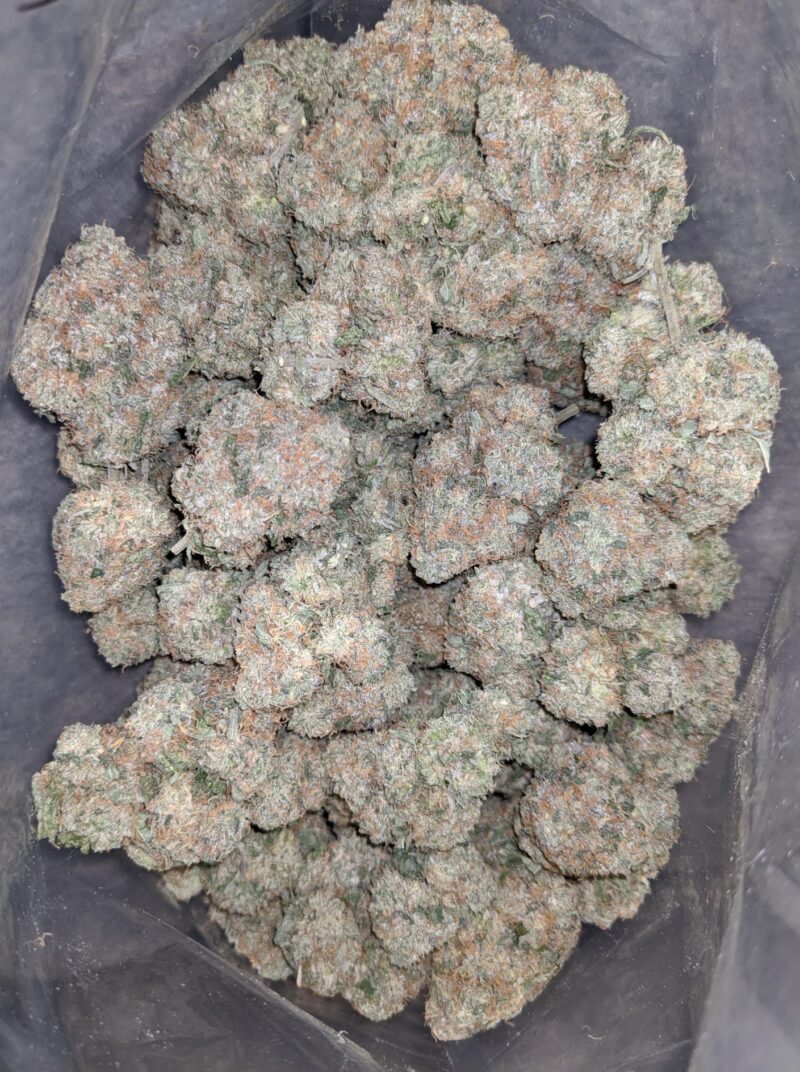 Walter White - Image 7