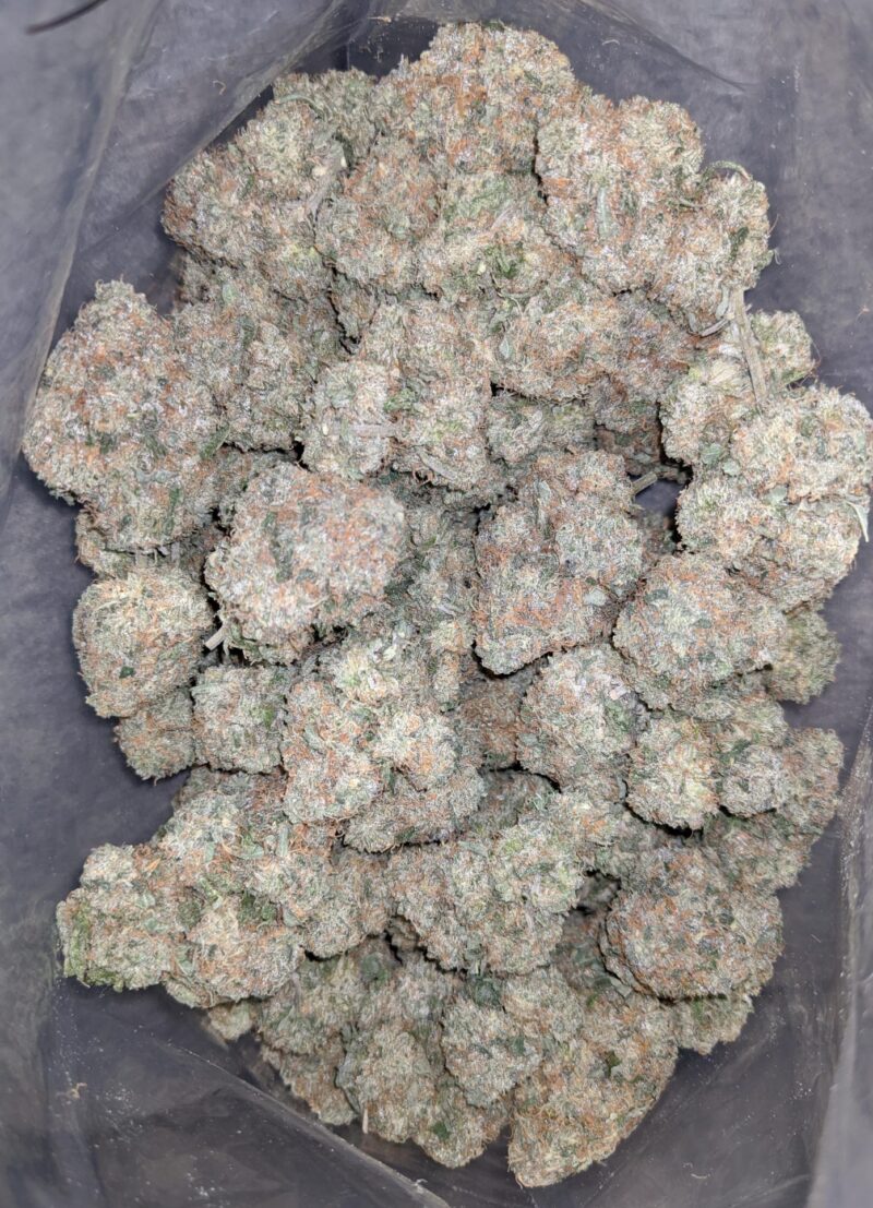 Walter White - Image 6