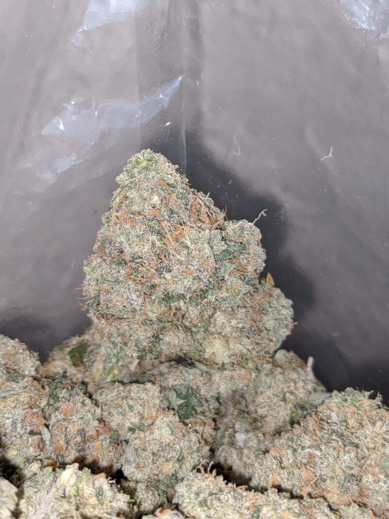 Walter White - Image 5