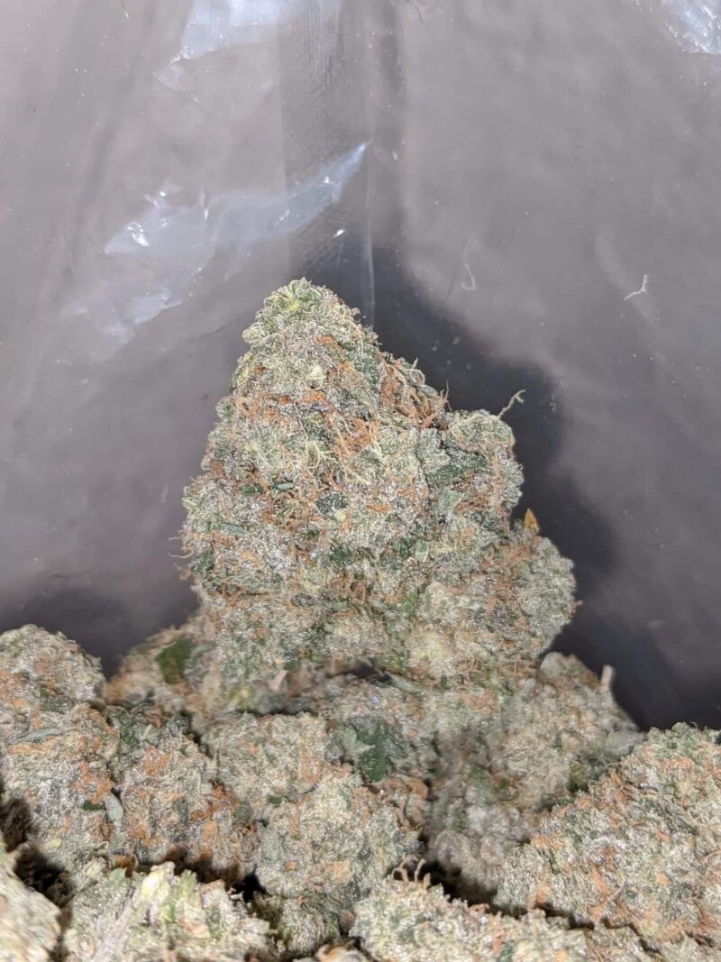 Walter White - Image 4
