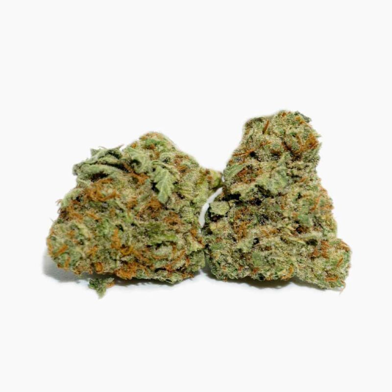 Watermelon Kush