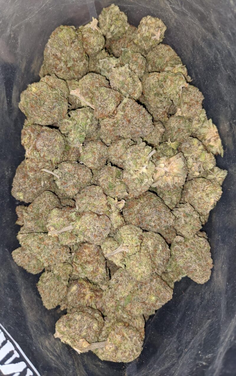 White Durban - Image 6