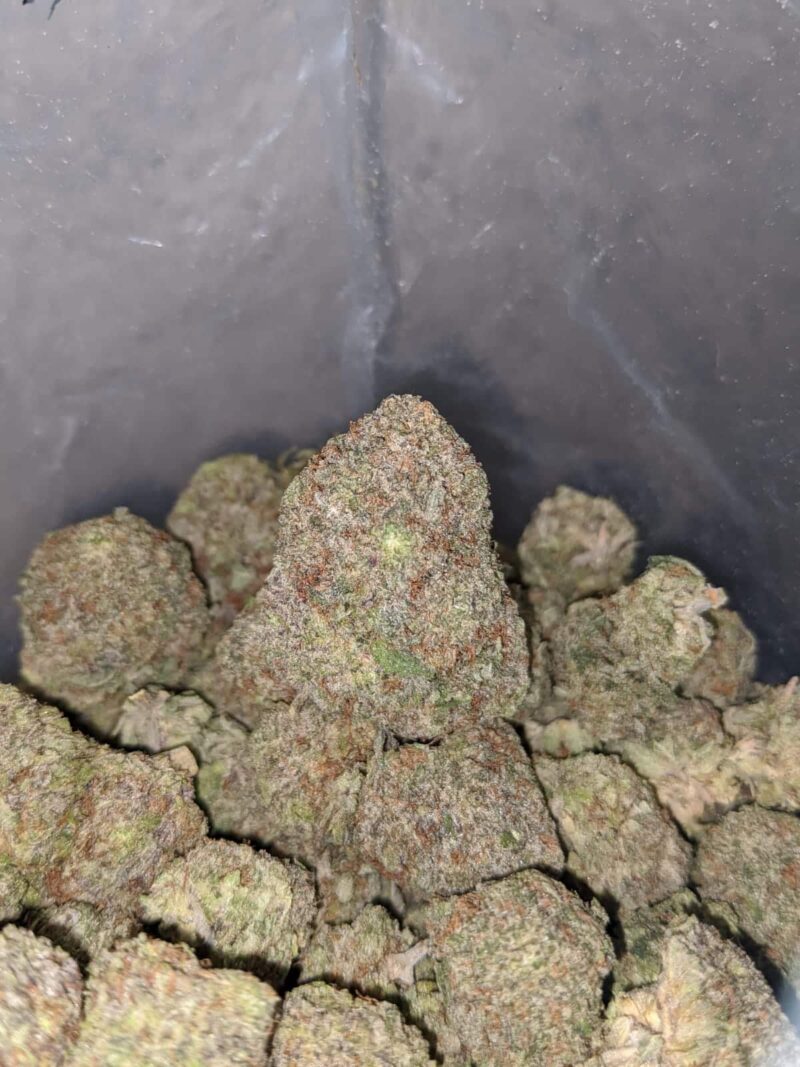 White Durban - Image 5