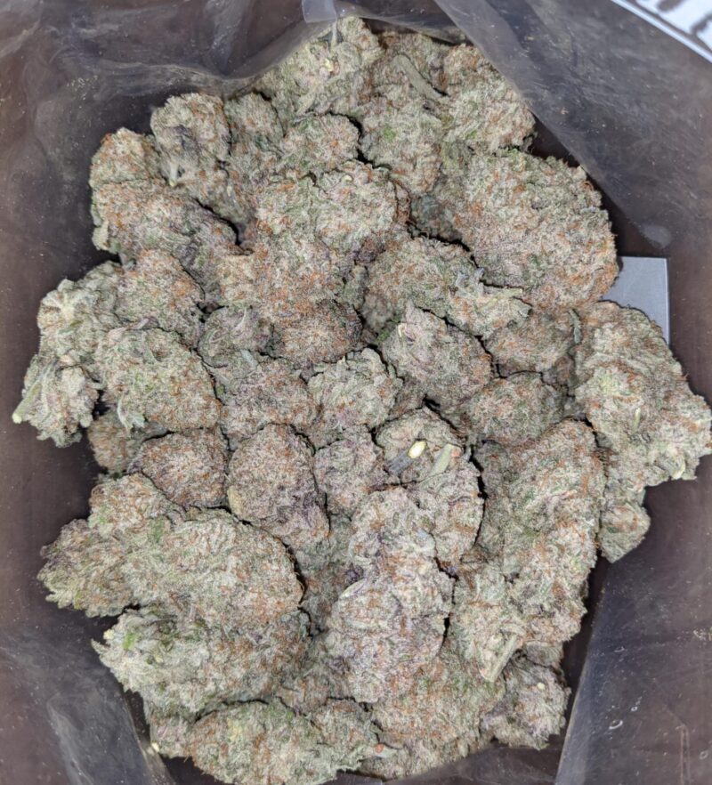 White Lavender - Image 5