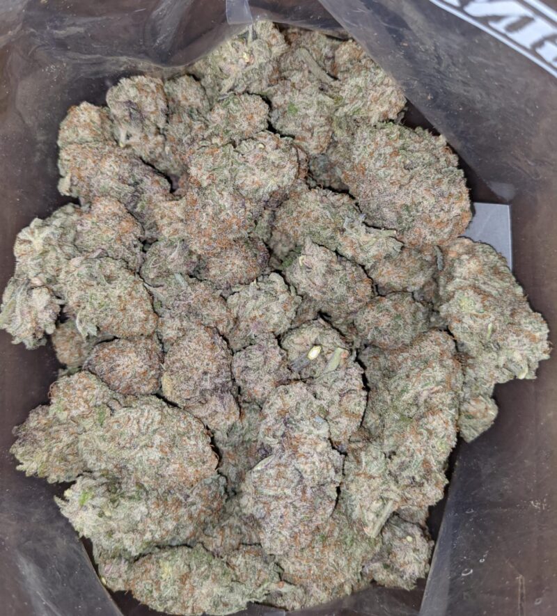 White Lavender - Image 4