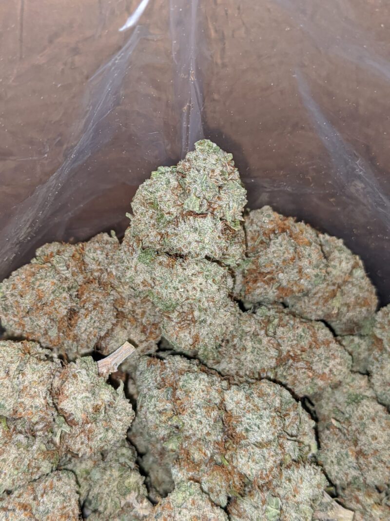White Lightning - Image 6