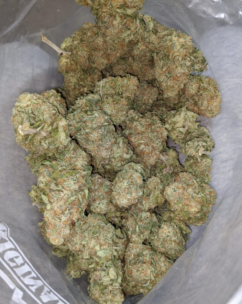 White Rhino - Image 5