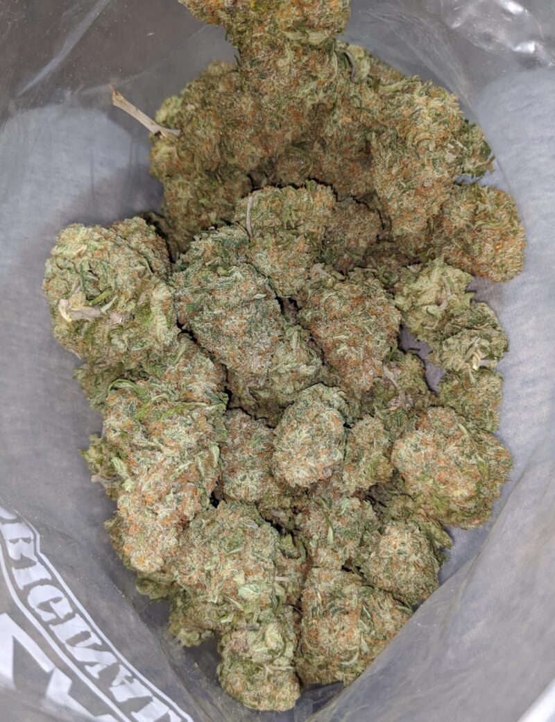 White Rhino - Image 4