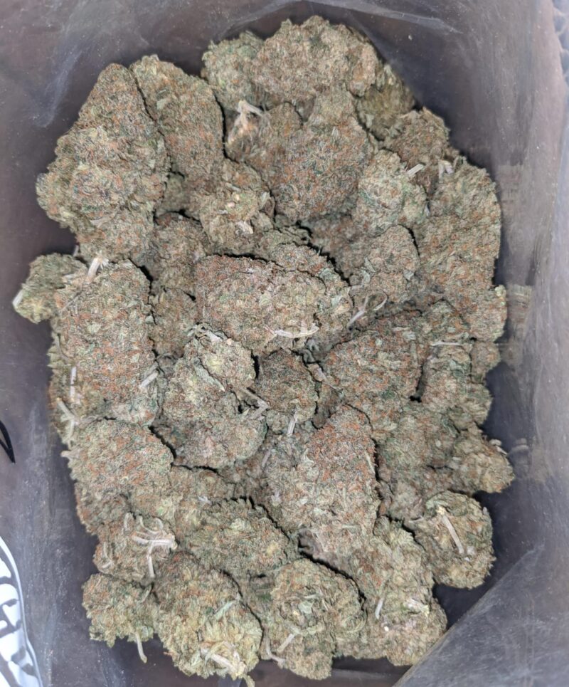 White Runtz - Image 6