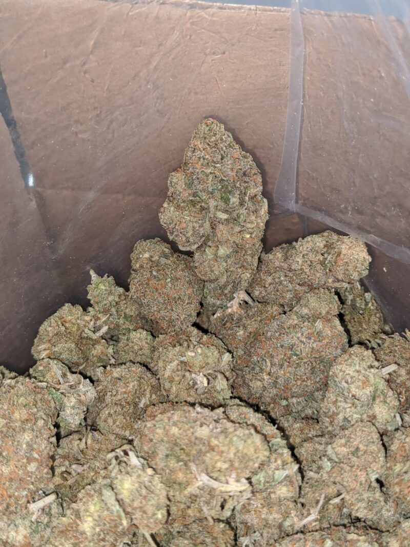 White Runtz - Image 4
