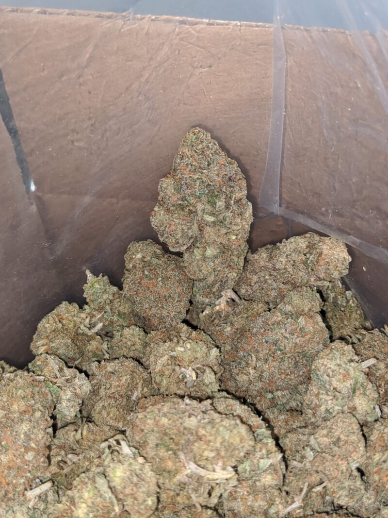 White Runtz - Image 7