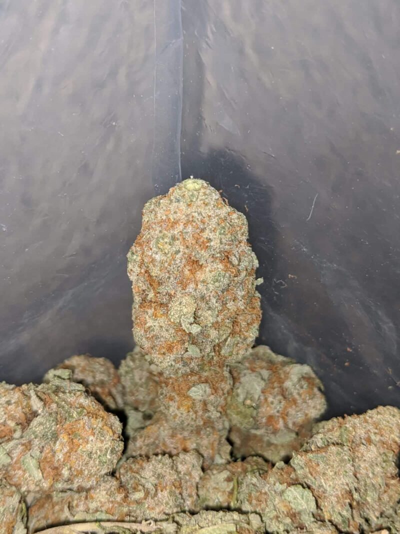 White Strawberry Cough - Image 7