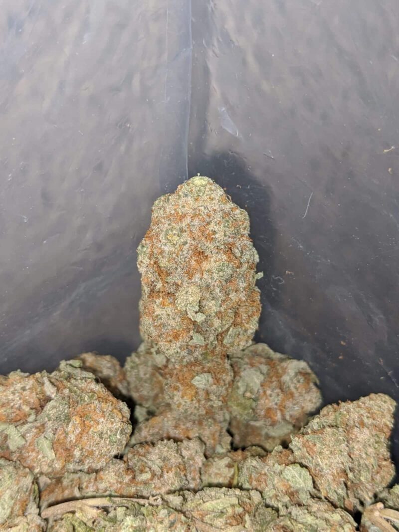 White Strawberry Cough - Image 4