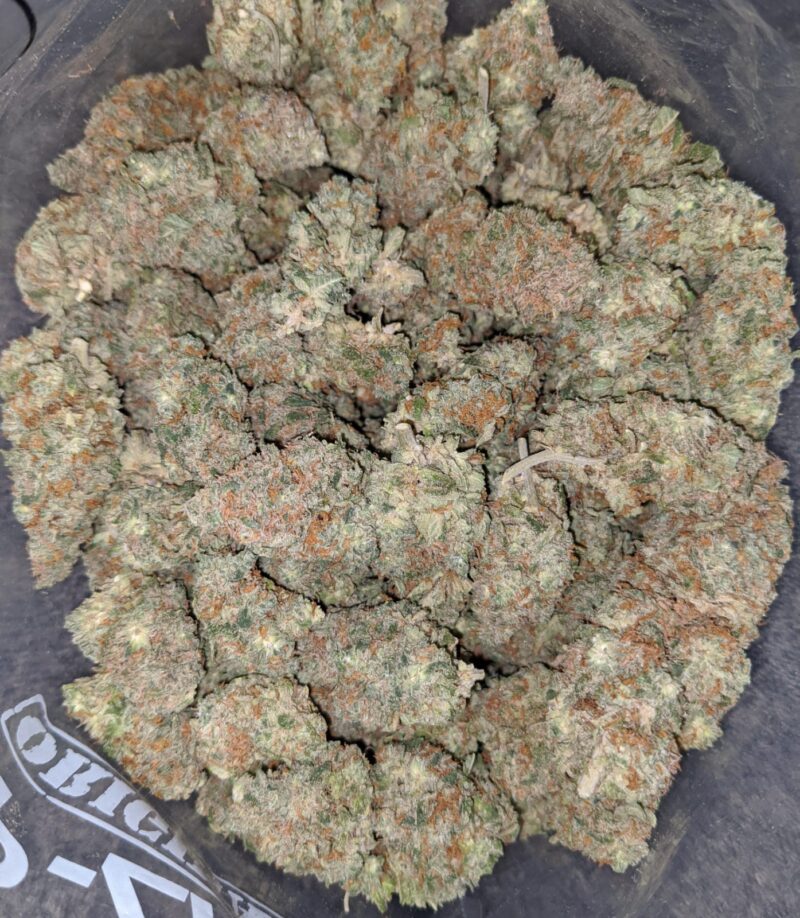 White Tahoe - Image 4
