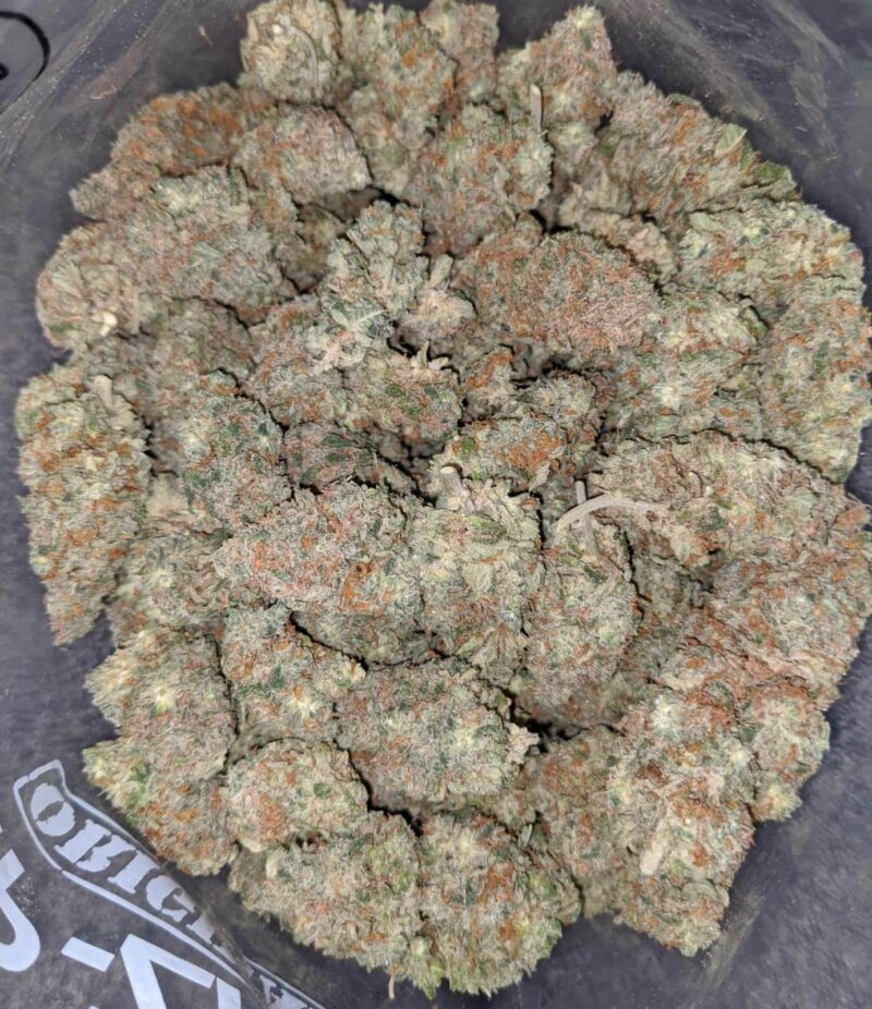 White Tahoe - Image 7