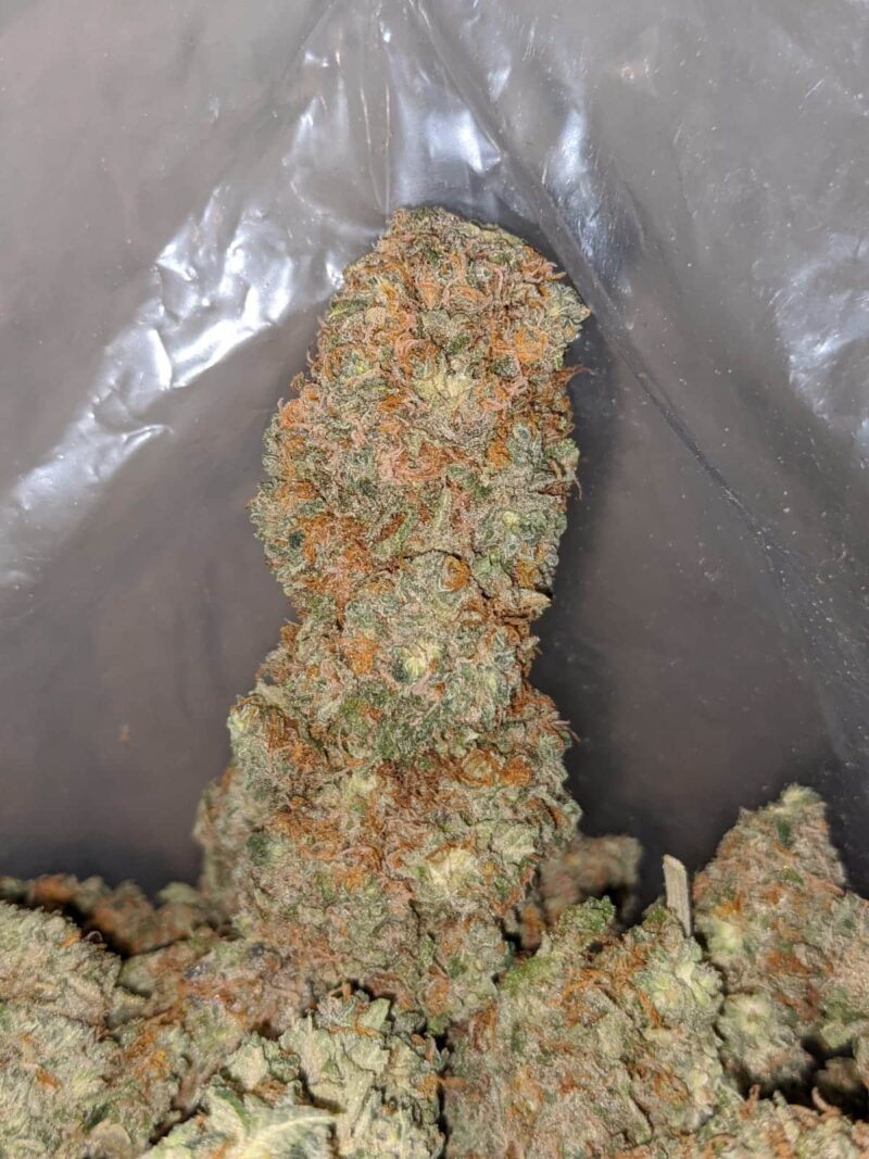 White Tahoe - Image 6