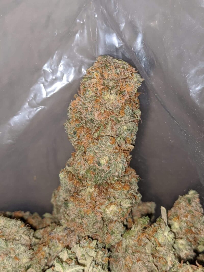 White Tahoe - Image 5