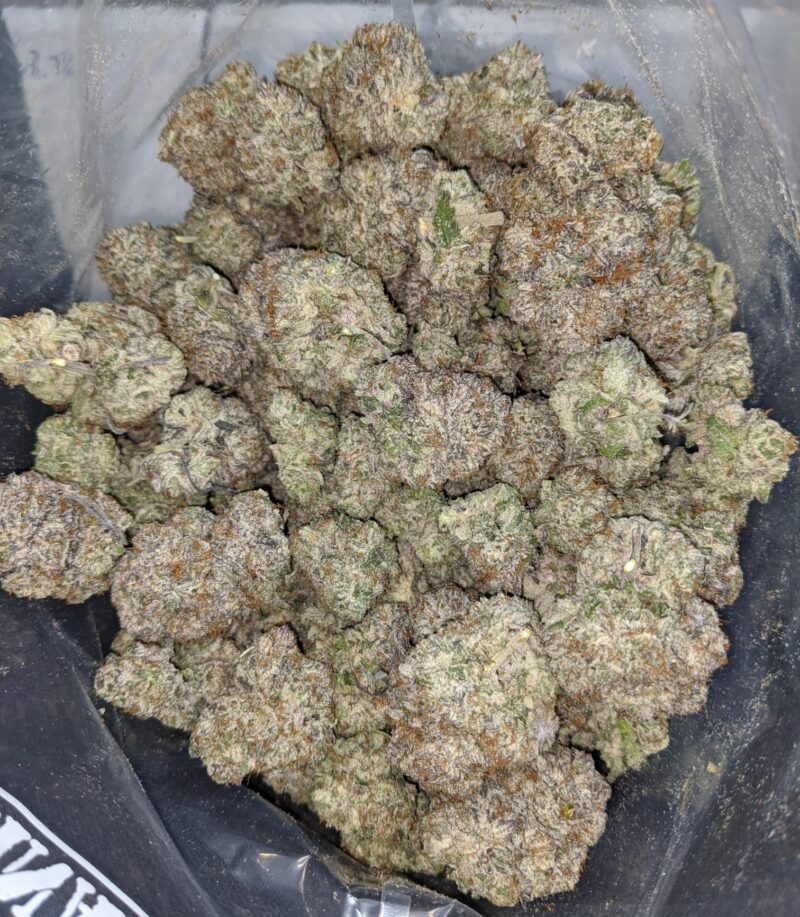 White Truffle - Image 7