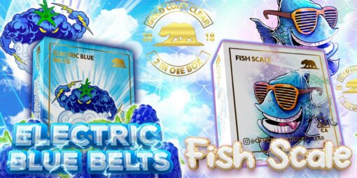 Electric Blue Belts / Fish Scale