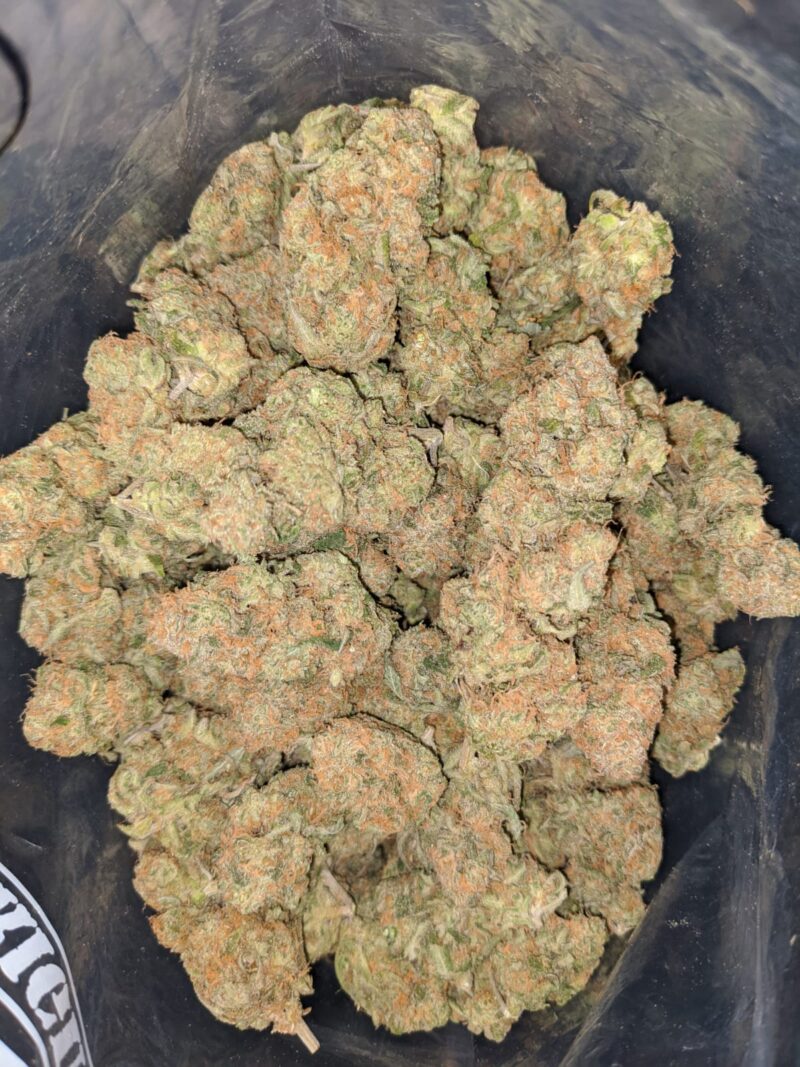 Zombie Kush OG - Image 5