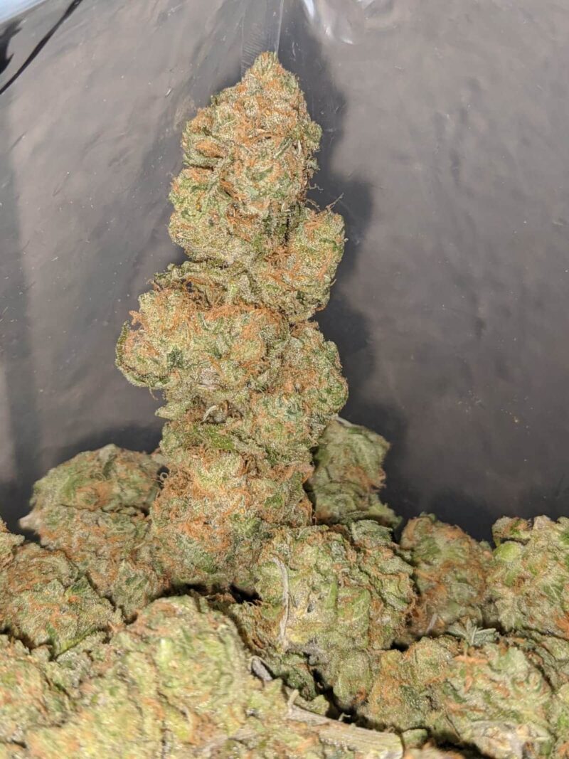 Zombie Kush OG - Image 7