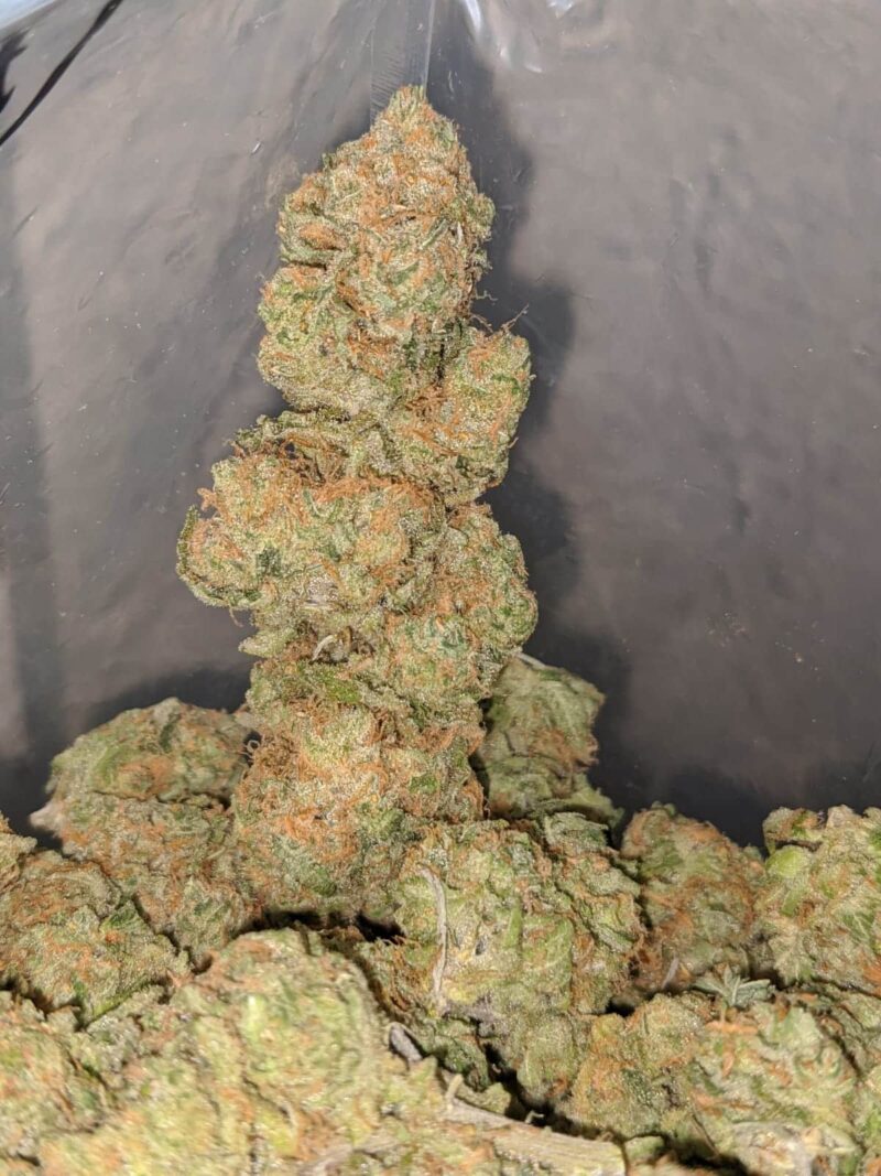 Zombie Kush OG - Image 6