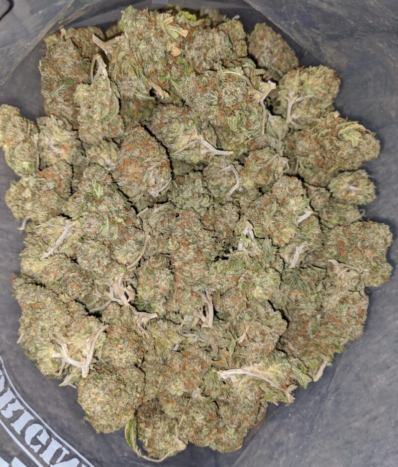 Zkittlez Runtz – *Deal Of The Day* - Image 4