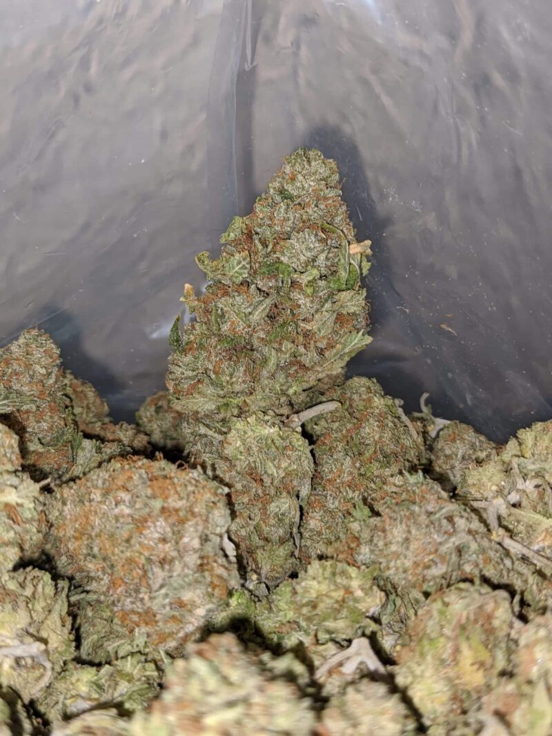 Zkittlez Runtz – *Deal Of The Day* - Image 6
