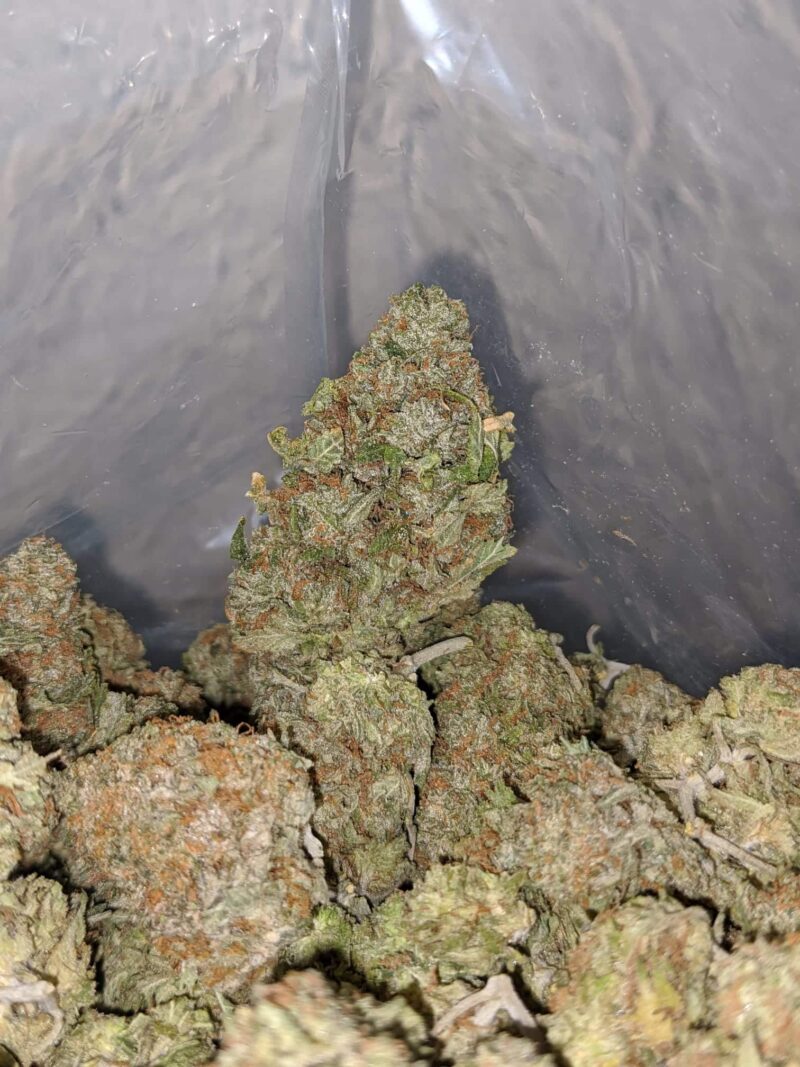 Zkittlez Runtz – *Deal Of The Day* - Image 5