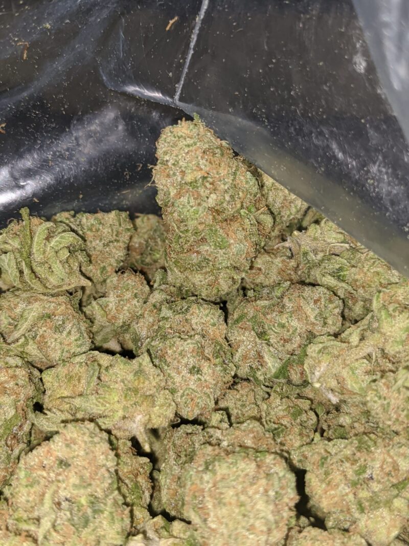 Zombie Kush - Image 4